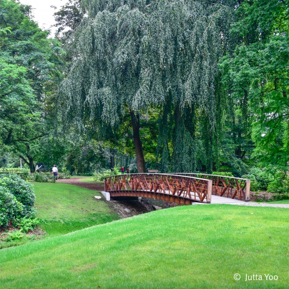 Branches Bridge Branches Bridge