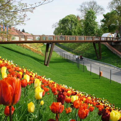 Crossline Brücke